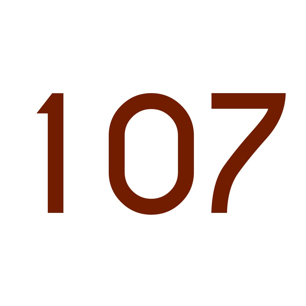 Hausnummer Aufkleber 107 kupfer