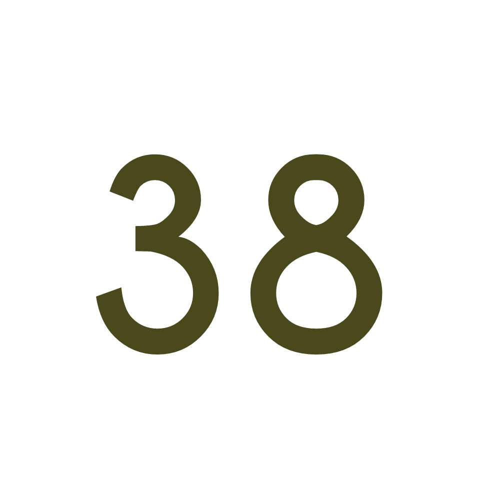 Hausnummer Aufkleber 38 gold